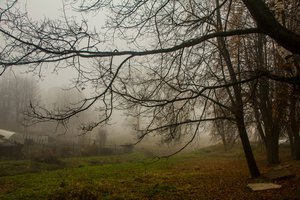 05-008.jpg (2058 просмотров) <a class='original' href='./download/file.php?id=38552&mode=view' target=_blank>Загрузить оригинал (535.5 КБ)</a>