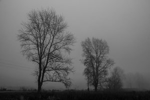 05-009.jpg (2058 просмотров) <a class='original' href='./download/file.php?id=38553&mode=view' target=_blank>Загрузить оригинал (237.03 КБ)</a>