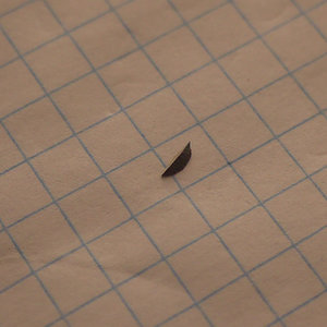 стопор.jpg (5705 просмотров) <a class='original' href='./download/file.php?id=38573&mode=view' target=_blank>Загрузить оригинал (119.93 КБ)</a>