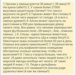 IMG-20141207-WA0054.jpg (3369 просмотров) <a class='original' href='./download/file.php?id=38667&mode=view' target=_blank>Загрузить оригинал (79.88 КБ)</a>