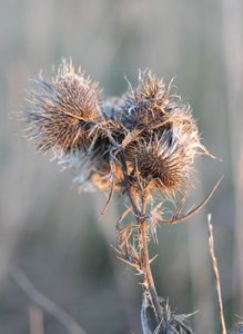 06-004.jpg (2516 просмотров) <a class='original' href='./download/file.php?id=38764&mode=view' target=_blank>Загрузить оригинал (118.48 КБ)</a>