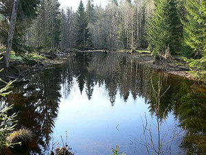 120506-06m.jpg (2494 просмотра) <a class='original' href='./download/file.php?id=38785&mode=view' target=_blank>Загрузить оригинал (86.64 КБ)</a>