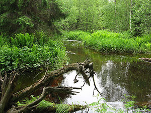 120610-02m.jpg (2494 просмотра) <a class='original' href='./download/file.php?id=38786&mode=view' target=_blank>Загрузить оригинал (101.89 КБ)</a>