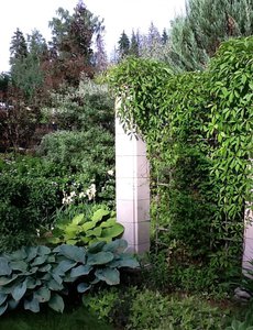 image.jpg (2478 просмотров) <a class='original' href='./download/file.php?id=38796&mode=view' target=_blank>Загрузить оригинал (325.82 КБ)</a>