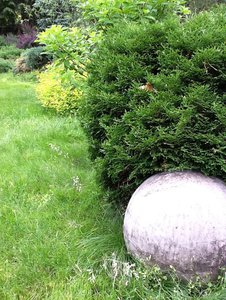 image.jpg (2478 просмотров) <a class='original' href='./download/file.php?id=38797&mode=view' target=_blank>Загрузить оригинал (333.69 КБ)</a>