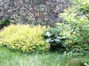 image.jpg (2478 просмотров) <a class='original' href='./download/file.php?id=38798&mode=view' target=_blank>Загрузить оригинал (367.68 КБ)</a>