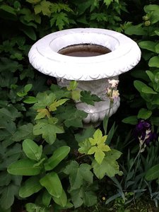 image.jpg (2478 просмотров) <a class='original' href='./download/file.php?id=38799&mode=view' target=_blank>Загрузить оригинал (153.08 КБ)</a>