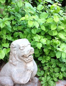 image.jpg (2478 просмотров) <a class='original' href='./download/file.php?id=38800&mode=view' target=_blank>Загрузить оригинал (285.75 КБ)</a>