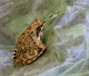 06-006.jpg (2424 просмотра) <a class='original' href='./download/file.php?id=38842&mode=view' target=_blank>Загрузить оригинал (135.88 КБ)</a>