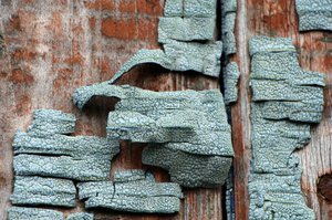 06-010.jpg (2423 просмотра) <a class='original' href='./download/file.php?id=38845&mode=view' target=_blank>Загрузить оригинал (363.51 КБ)</a>