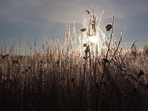 image.jpg (2285 просмотров) <a class='original' href='./download/file.php?id=39407&mode=view' target=_blank>Загрузить оригинал (215.87 КБ)</a>