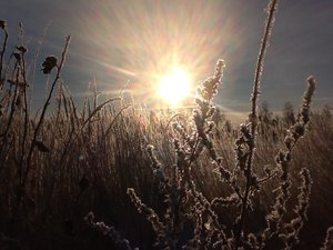 image.jpg (2285 просмотров) <a class='original' href='./download/file.php?id=39408&mode=view' target=_blank>Загрузить оригинал (200.28 КБ)</a>