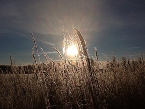 image.jpg (2285 просмотров) <a class='original' href='./download/file.php?id=39409&mode=view' target=_blank>Загрузить оригинал (210.19 КБ)</a>