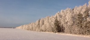 image.jpg (2285 просмотров) <a class='original' href='./download/file.php?id=39410&mode=view' target=_blank>Загрузить оригинал (98.4 КБ)</a>