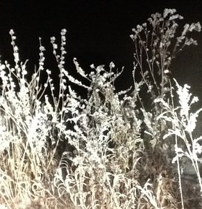 image.jpg (2808 просмотров) <a class='original' href='./download/file.php?id=39588&mode=view' target=_blank>Загрузить оригинал (154.83 КБ)</a>