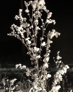 image.jpg (2808 просмотров) <a class='original' href='./download/file.php?id=39589&mode=view' target=_blank>Загрузить оригинал (139.51 КБ)</a>