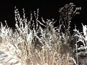 image.jpg (2808 просмотров) <a class='original' href='./download/file.php?id=39590&mode=view' target=_blank>Загрузить оригинал (253.98 КБ)</a>