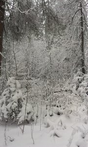 IMAG0907.jpg (2788 просмотров) <a class='original' href='./download/file.php?id=39617&mode=view' target=_blank>Загрузить оригинал (1.28 МБ)</a>