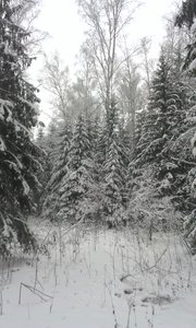 IMAG0911.jpg (2788 просмотров) <a class='original' href='./download/file.php?id=39631&mode=view' target=_blank>Загрузить оригинал (1.07 МБ)</a>