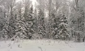 IMAG0912.jpg (2788 просмотров) <a class='original' href='./download/file.php?id=39632&mode=view' target=_blank>Загрузить оригинал (1.21 МБ)</a>