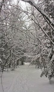 IMAG0913.jpg (2788 просмотров) <a class='original' href='./download/file.php?id=39634&mode=view' target=_blank>Загрузить оригинал (1.22 МБ)</a>