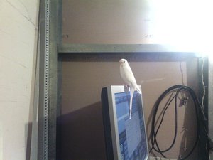 IMG_20150109_161411.jpg (1740 просмотров) <a class='original' href='./download/file.php?id=40113&mode=view' target=_blank>Загрузить оригинал (1.19 МБ)</a>