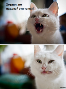 1421330040_703003610.png (1998 просмотров) <a class='original' href='./download/file.php?id=40640&mode=view' target=_blank>Загрузить оригинал (409.34 КБ)</a>