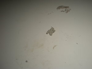 DSCN7591.JPG (5643 просмотра) <a class='original' href='./download/file.php?id=40800&mode=view' target=_blank>Загрузить оригинал (2.23 МБ)</a>