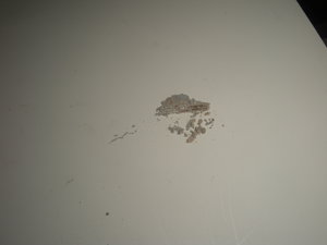 DSCN7599.JPG (5643 просмотра) <a class='original' href='./download/file.php?id=40801&mode=view' target=_blank>Загрузить оригинал (2.29 МБ)</a>