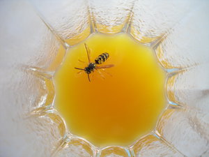 SAM_2804.JPG (2658 просмотров) <a class='original' href='./download/file.php?id=42254&mode=view' target=_blank>Загрузить оригинал (3.16 МБ)</a>