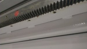 IMAG1794.jpg (4618 просмотров) <a class='original' href='./download/file.php?id=42265&sid=efc1ae8088fc29f2a3c84243b5d83457&mode=view' target=_blank>Загрузить оригинал (99.6 КБ)</a>