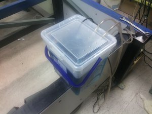 IMG_20150218_141525.jpg (1490 просмотров) <a class='original' href='./download/file.php?id=43398&mode=view' target=_blank>Загрузить оригинал (1.02 МБ)</a>