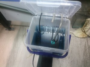 IMG_20150218_141538.jpg (1490 просмотров) <a class='original' href='./download/file.php?id=43399&mode=view' target=_blank>Загрузить оригинал (967.58 КБ)</a>