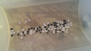 2015-02-27 17-32-06.JPG (2388 просмотров) <a class='original' href='./download/file.php?id=44008&mode=view' target=_blank>Загрузить оригинал (859.48 КБ)</a>