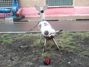 2015-02-24 07.56.39.jpg