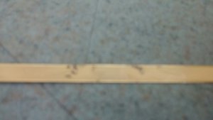 20150303_105701_resized.jpg (5054 просмотра) <a class='original' href='./download/file.php?id=44415&mode=view' target=_blank>Загрузить оригинал (100.53 КБ)</a>