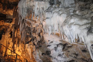 IMG_2735.JPG (3106 просмотров) <a class='original' href='./download/file.php?id=44628&mode=view' target=_blank>Загрузить оригинал (4.74 МБ)</a>