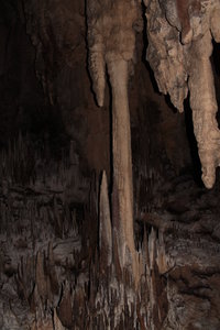 IMG_2705.JPG (3106 просмотров) <a class='original' href='./download/file.php?id=44629&mode=view' target=_blank>Загрузить оригинал (3.39 МБ)</a>