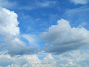 DSCN0985.JPG (3048 просмотров) <a class='original' href='./download/file.php?id=44927&mode=view' target=_blank>Загрузить оригинал (5.26 МБ)</a>