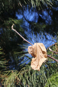 020.jpg (3004 просмотра) <a class='original' href='./download/file.php?id=45295&mode=view' target=_blank>Загрузить оригинал (604.58 КБ)</a>