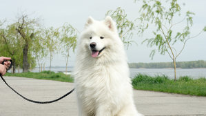 DSC03213.JPG (2981 просмотр) <a class='original' href='./download/file.php?id=45380&mode=view' target=_blank>Загрузить оригинал (779.69 КБ)</a>