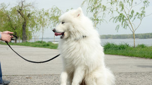 DSC03214.JPG (2981 просмотр) <a class='original' href='./download/file.php?id=45381&mode=view' target=_blank>Загрузить оригинал (881.87 КБ)</a>