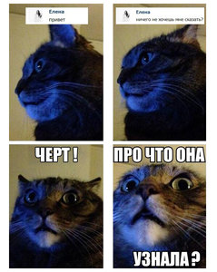 черно-синий.jpg (3581 просмотр) <a class='original' href='./download/file.php?id=45820&mode=view' target=_blank>Загрузить оригинал (157.42 КБ)</a>