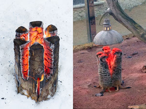 сурикаты.jpg (1952 просмотра) <a class='original' href='./download/file.php?id=46103&mode=view' target=_blank>Загрузить оригинал (618.05 КБ)</a>