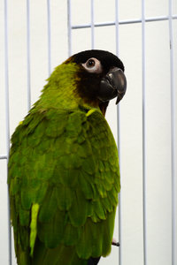 DSC_0044.JPG (2885 просмотров) <a class='original' href='./download/file.php?id=46173&mode=view' target=_blank>Загрузить оригинал (16.58 МБ)</a>