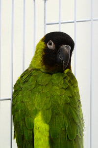 DSC_0052.JPG (2885 просмотров) <a class='original' href='./download/file.php?id=46174&mode=view' target=_blank>Загрузить оригинал (7.98 МБ)</a>