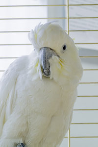 DSC_0053.JPG (2885 просмотров) <a class='original' href='./download/file.php?id=46175&mode=view' target=_blank>Загрузить оригинал (3.84 МБ)</a>