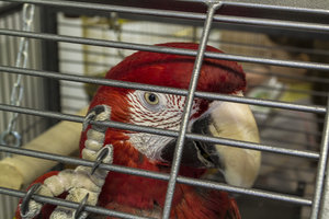 DSC_0058.JPG (2885 просмотров) <a class='original' href='./download/file.php?id=46176&mode=view' target=_blank>Загрузить оригинал (7.1 МБ)</a>