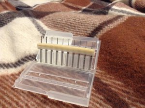 IMG_0286.JPG (2876 просмотров) <a class='original' href='./download/file.php?id=46849&mode=view' target=_blank>Загрузить оригинал (1.28 МБ)</a>