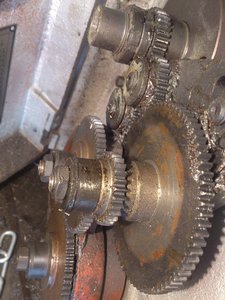 DSC_3662.jpg (7139 просмотров) <a class='original' href='./download/file.php?id=47858&mode=view' target=_blank>Загрузить оригинал (2.89 МБ)</a>